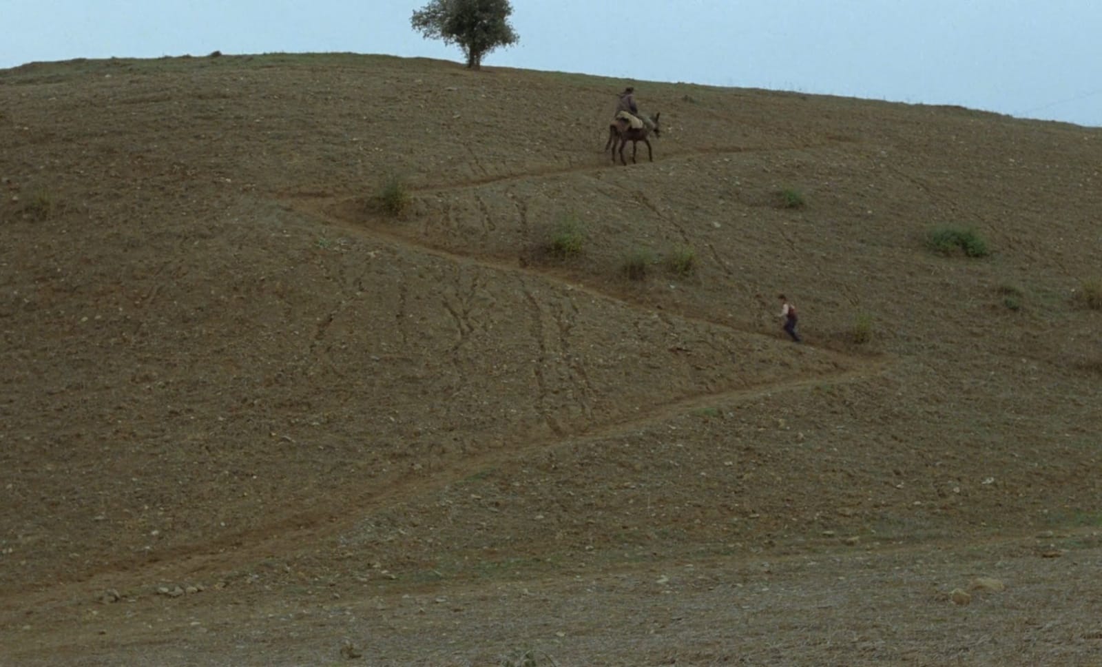 Fotograma de la película «¿Dónde está la casa de mi amigo?» de Abbas Kiarostami.