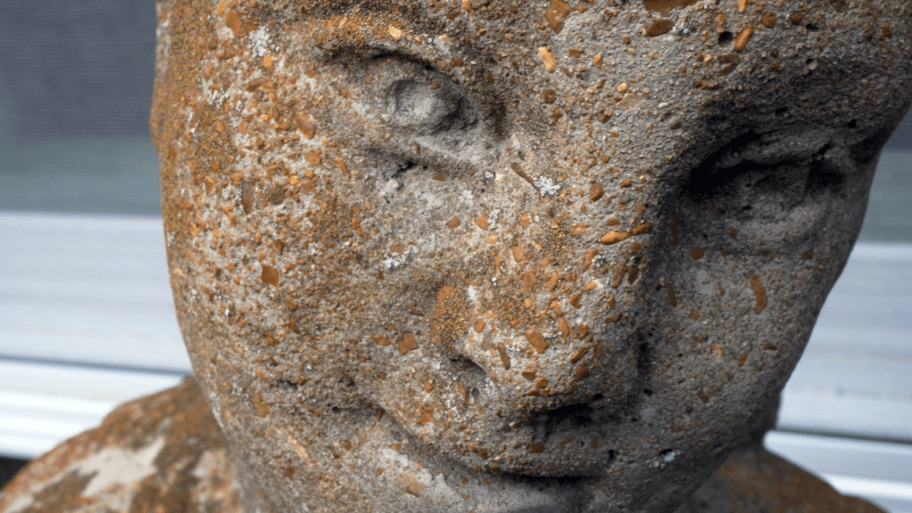 Fotograma de "Her Socialist Smile" (2020) de John Gianvito. 