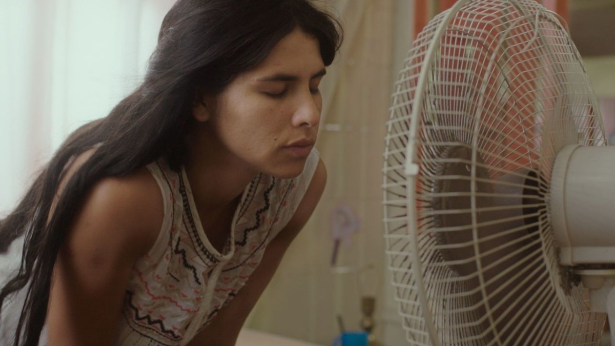 Crítica: El despertar de las hormigas de Antonella&nbsp;Sudasassi