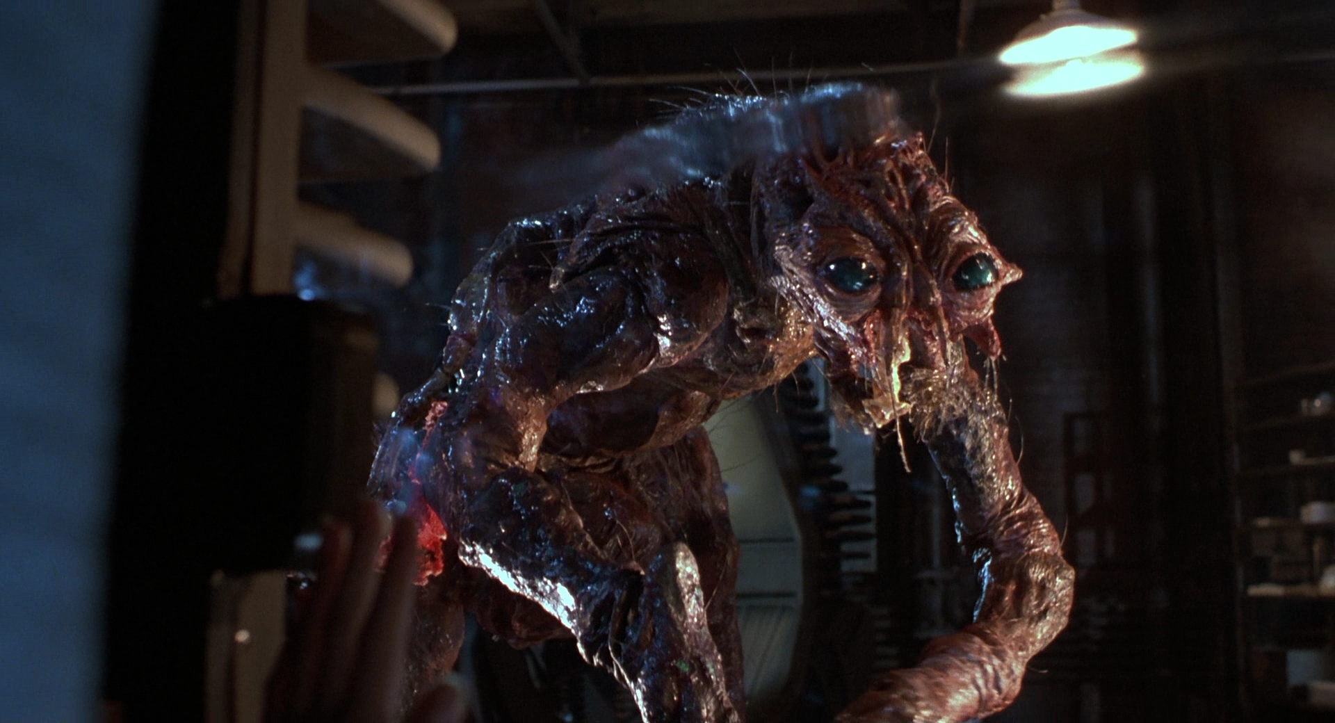 Fotograma de la película "La mosca" de David Cronenberg. 